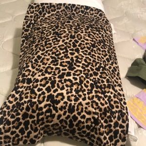 Zara Leopard Print Skirt